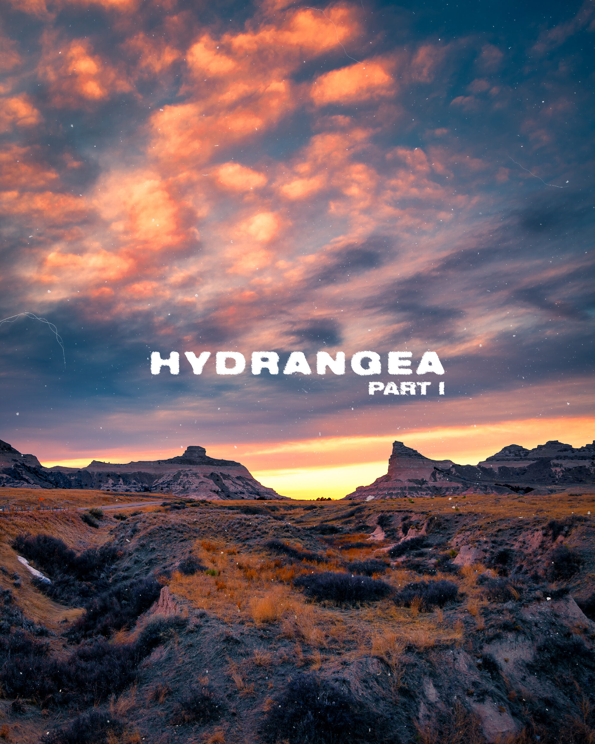 Hydrangea — image 2