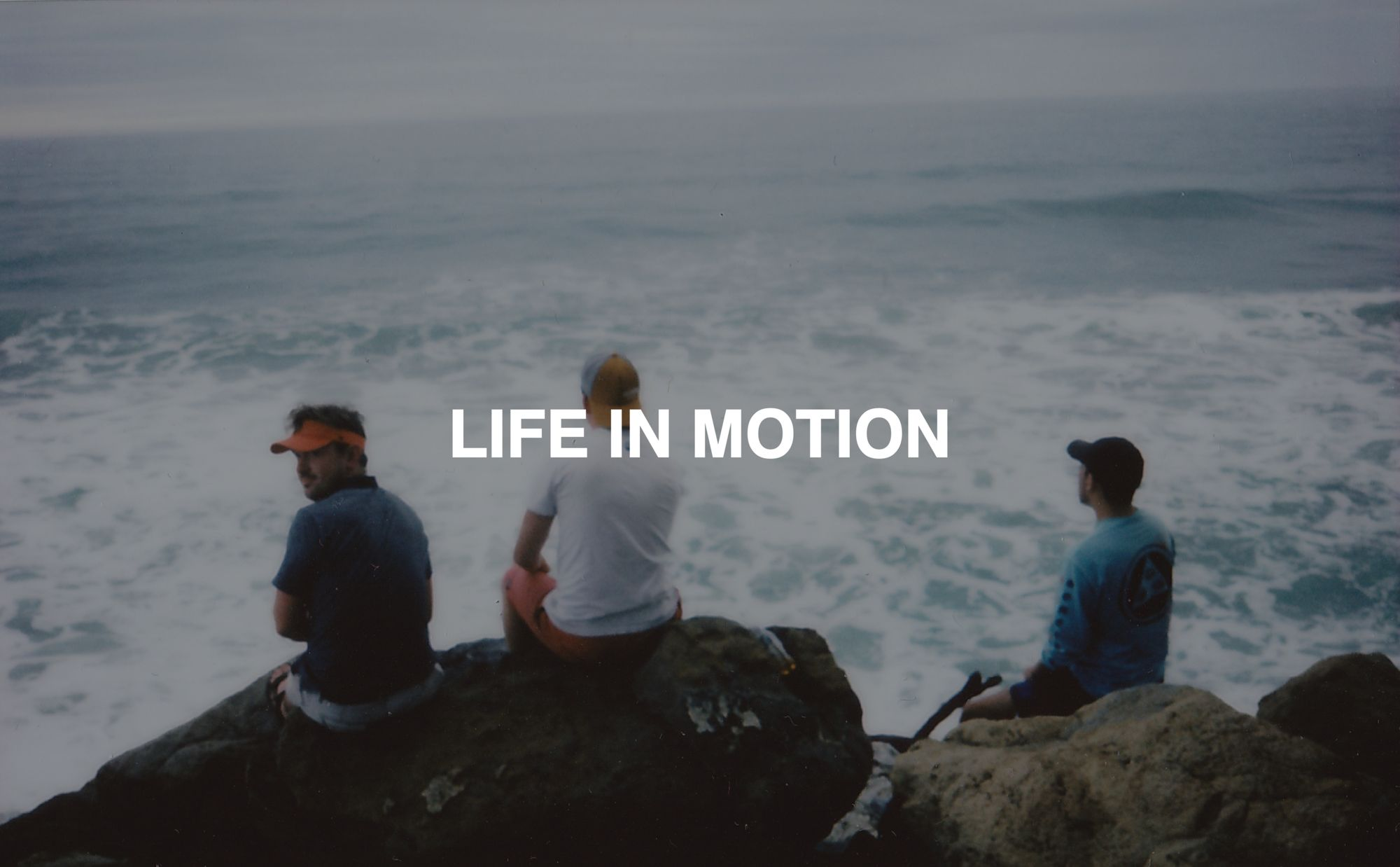 Life in Motion